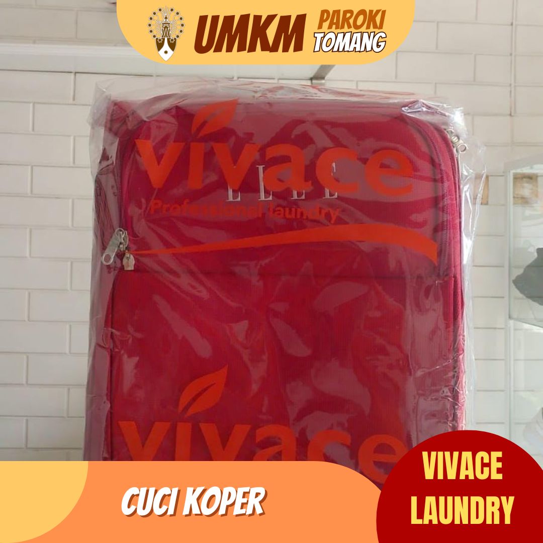 https://umkm.warkita.com//assets/images/product/Cuci Koper Vivace