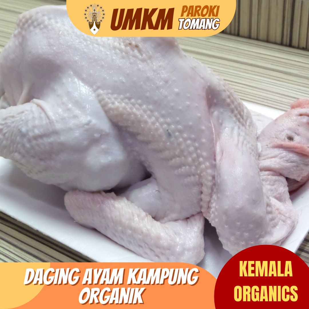 https://umkm.warkita.com//assets/images/product/Daging ayam kampung organik