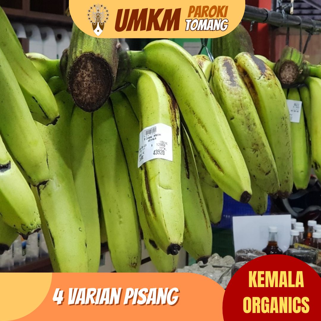 https://umkm.warkita.com//assets/images/product/varian pisang Kemala Organics